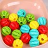 Pet molar toy watermelon ball silicone toy dog molar ball bite-resistant, teeth-cleaning and food-leakage ball chewing dog bite toy