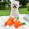 Double-bone Chicken Leg Plush Toy Vocal Connotation BB Pet Dog Cat Toy Supplies.dog chew toy